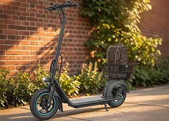 Electecric Scooters