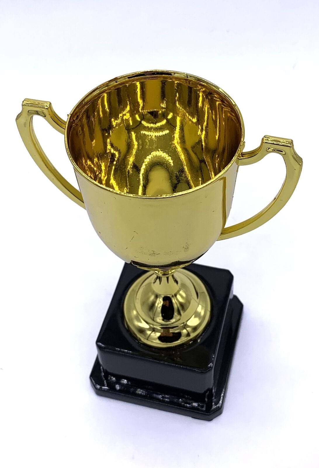 TROPHY CUP Sport Award Football School Table Tennis Gold Winner Achievement