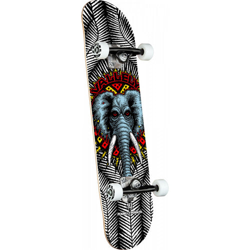 Powell Peralta Vallely Elephant Birch Complete Skateboard White - Shape 242 - 8 x 31.45